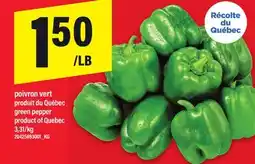Maxi POIVRON VERT | GREEN PEPPER offer
