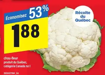 Maxi CHOU-FLEUR offer
