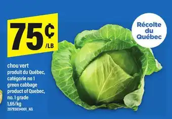 Maxi CHOU VERT | GREEN CABBAGE offer