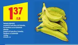Maxi BANANE PLANTAIN | PLANTAIN offer