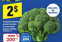 Maxi COURONNES DE BROCOLI | BROCCOLI CROWNS offer