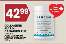 Rachelle-Bery Grocery LANDISH PURE CANADIAN MARINE COLLAGEN offer