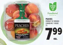 Metro Peaches offer