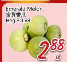 Foody Mart Emerald Melon offer