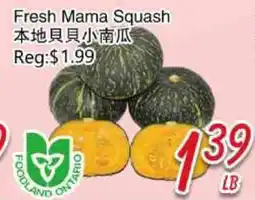 Foody Mart FRESH MAMA SQUASH offer