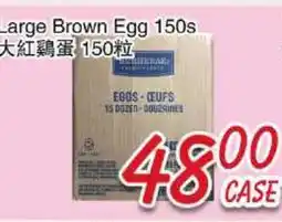 Foody Mart Large Brown Egg offer