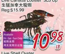 Foody Mart LIVE CANADA LOBSTER offer