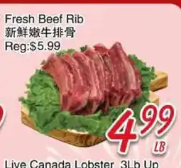Foody Mart Fresh Beef Rib offer