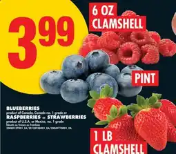 No Frills BLUEBERRIES, PINT RASPBERRIES, 6 OZ CLAMSHELL STRAWBERRIES, 1 LB CLAMSHELL offer