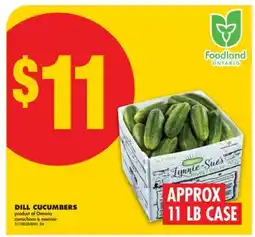 No Frills DILL CUCUMBERS, APPROX 11 LB CASE offer