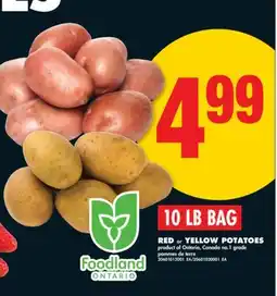 No Frills RED OR YELLOW POTATOES, 10 LB BAG offer