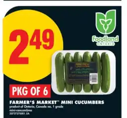 No Frills FARMER'S MARKET MINI CUCUMBERS, PKG OF 6 offer