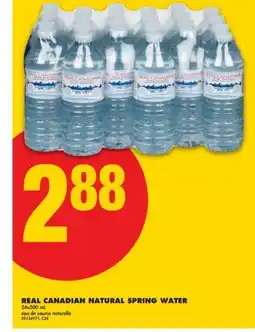 No Frills REAL CANADIAN NATURAL SPRING WATER, 24x500 mL offer