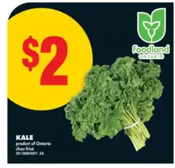 No Frills KALE offer