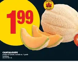 No Frills CANTALOUPE offer