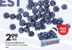 Longo's Fresh Sweet Blueberries offer