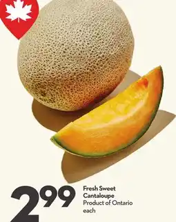 Longo's Fresh Sweet Cantaloupe offer