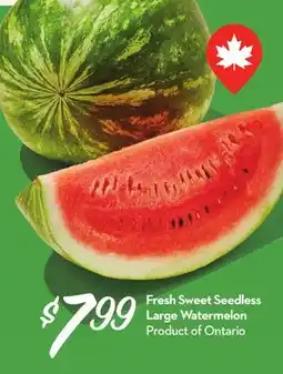 Longo's Fresh Sweet Seedless Large Watermelon offer