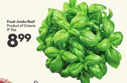Longo's Fresh Jumbo Basil offer