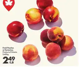 Longo's Fresh Peaches or Nectarines offer