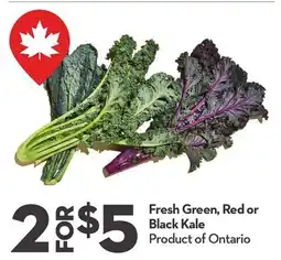Longo's Fresh Green, Red or Black Kale offer