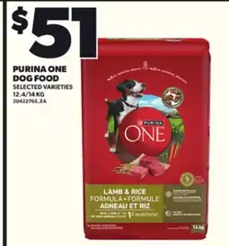 Loblaws PURINA ONE DOG FOOD, 12.4/14 KG offer