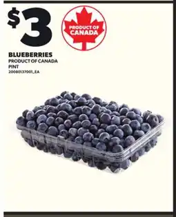 Loblaws BLUEBERRIES offer