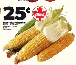 Loblaws SWEET BICOLOUR CORN, EACH offer