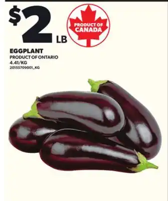 Loblaws EGGPLANT offer