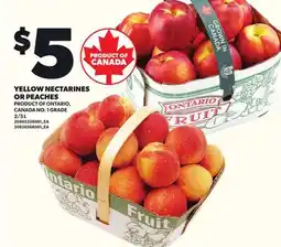 Loblaws YELLOW NECTARINES OR PEACHES, 2/3 L offer