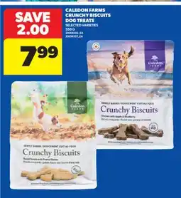 Real Canadian Superstore CALEDON FARMS CRUNCHY BISCUITS DOG TREATS, 550 G offer