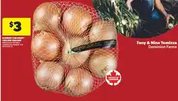 Real Canadian Superstore FARMER'S MARKET YELLOW ONIONS, 3 LB offer