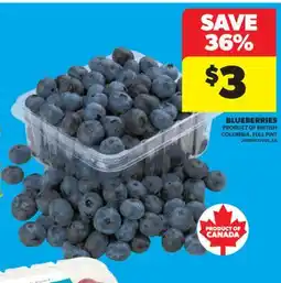 Real Canadian Superstore BLUEBERRIES offer