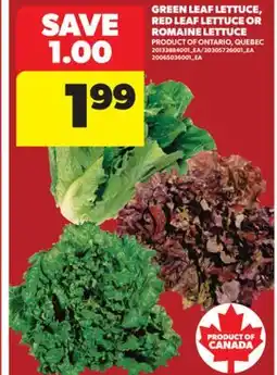 Real Canadian Superstore GREEN LEAF LETTUCE, RED LEAF LETTUCE OR ROMAINE LETTUCE offer