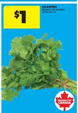 Real Canadian Superstore CILANTRO offer
