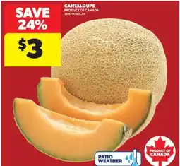 Real Canadian Superstore CANTALOUPE offer
