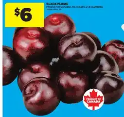 Real Canadian Superstore BLACK PLUMS offer
