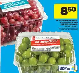 Real Canadian Superstore PC AUTUMN OR SWEET CELEBRATION RED SEEDLESS GRAPES, 2 LB CLAMSHELL offer