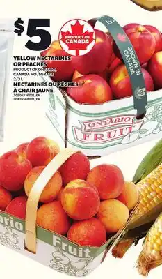 Independent Grocer YELLOW NECTARINES OR PEACHES, 2/3 L offer