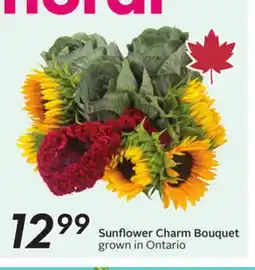 Sobeys Sunflower Charm Bouquet offer