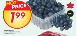 Sobeys Blueberries Pint offer