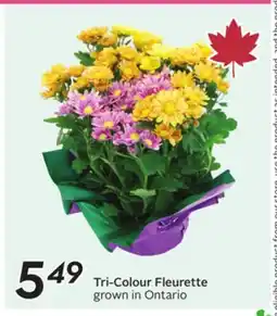 Sobeys Tri-Colour Fleurette offer