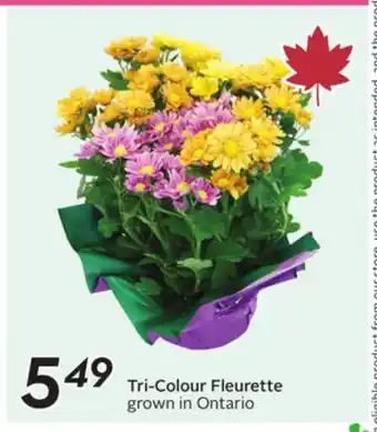 Sobeys Tri-Colour Fleurette offer