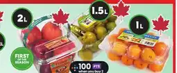 Sobeys Nectarines offer