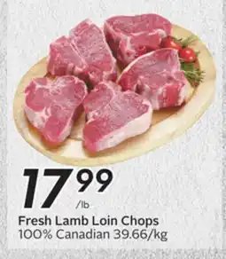 Sobeys Fresh Lamb Loin Chops offer