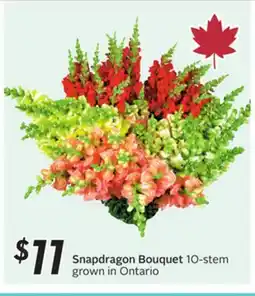 Sobeys Snapdragon Bouquet offer