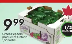 Sobeys Green Peppers offer