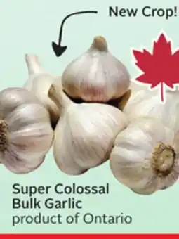 Sobeys Super Colossal Bulk Garlic offer