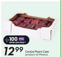 Sobeys Cactus Pears Case offer