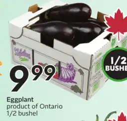 Sobeys Eggplant offer